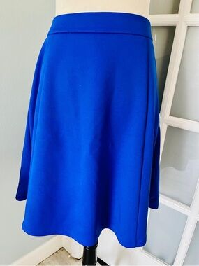 Calvin Klein Royal Blue A-Line Skirt